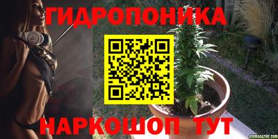 эйфоретик Ливны