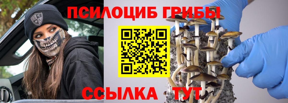 Псилоцибиновые грибы ЛСД Выборг