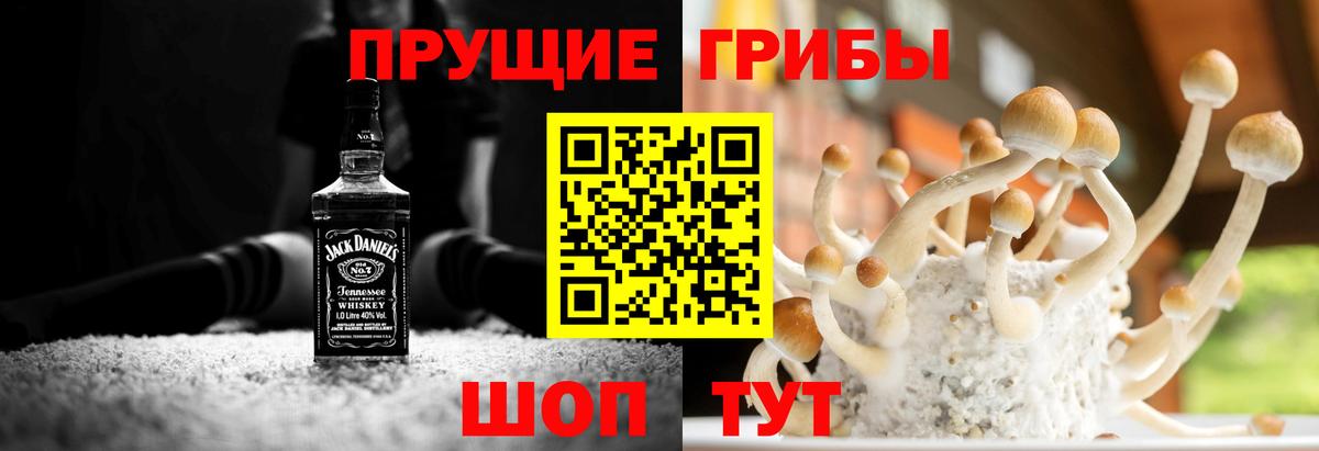 Выборг  Галлюциногенные грибы Psilocybine cubensis  Вход с VPN  Галлюциногенные грибы ЛСД 